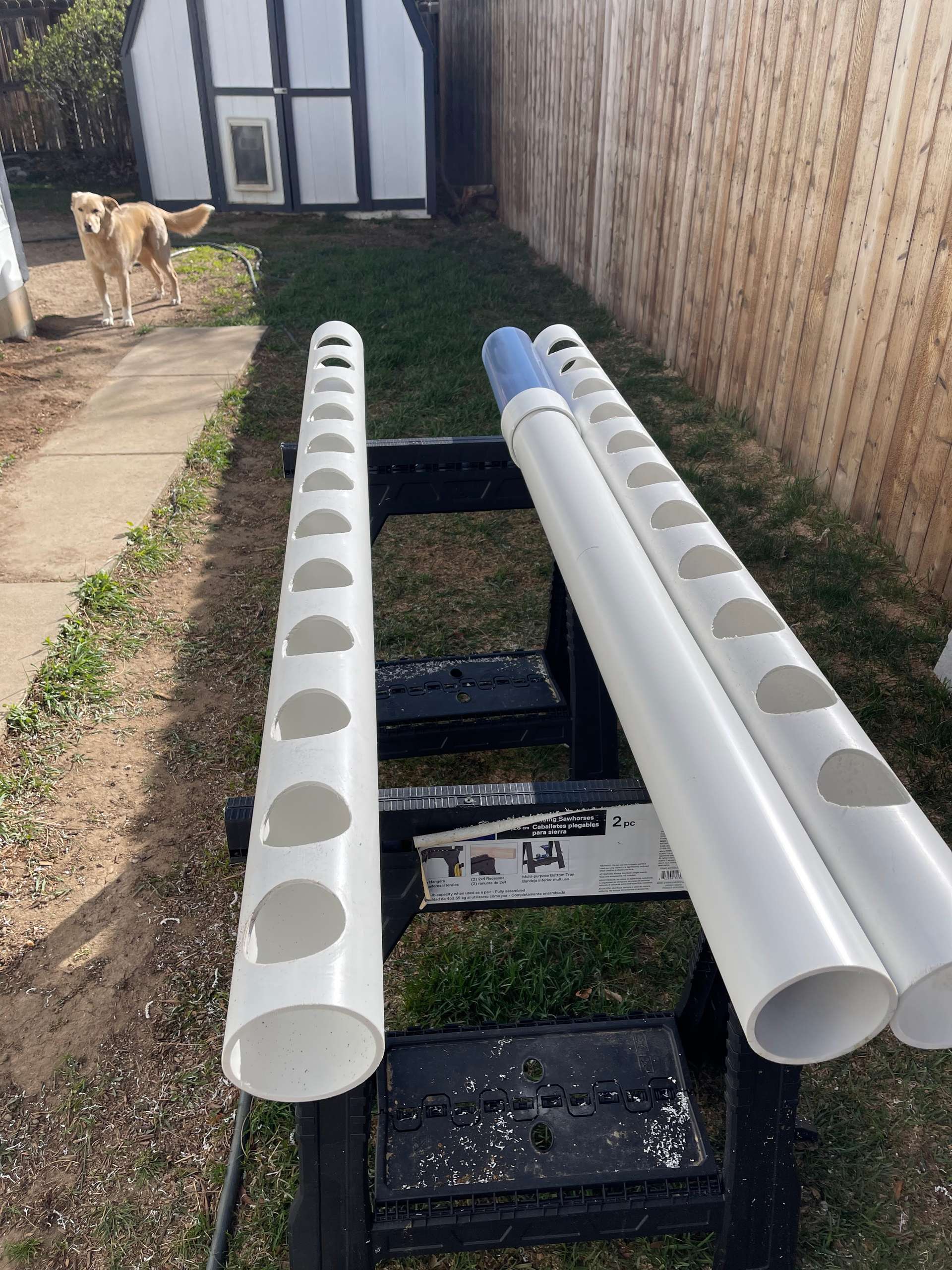 pvc pipes with 4in holes cut