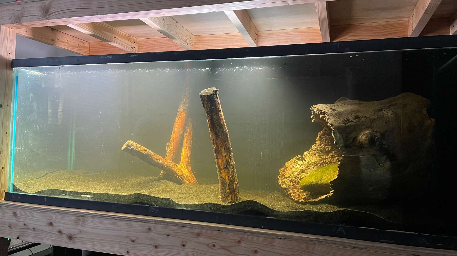 fish tanks and pvc plumbing